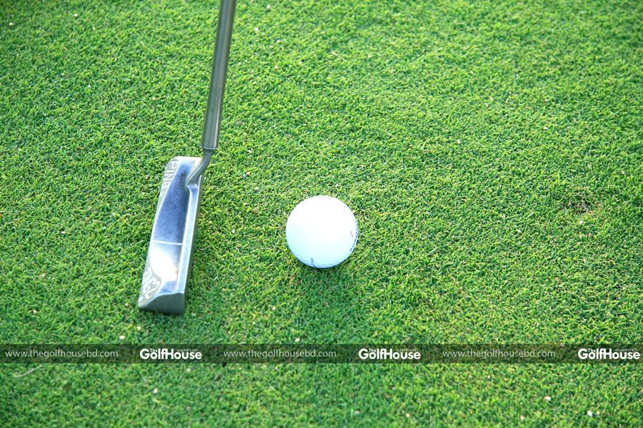 Bentgrass_on_Golf_Courses_TheGolfHouse