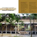 Bamboos